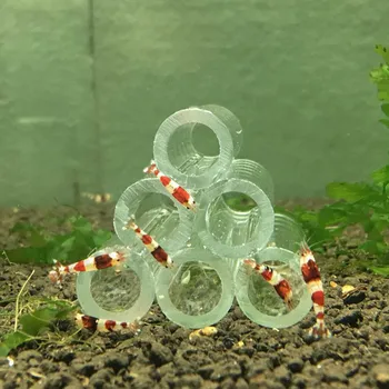 HONGYI 1 kus transparentné akrylátové crystal krevety hniezdo krevety uhýbať otvor chov hrniec akvárium terénne 3 otvory, 6 otvorov